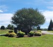 00 Watermelon Way sold home in Tamassee, SC