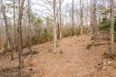 155 Carrousel Drive sold home in Central, SC