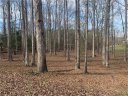 Lot 37 Peninsula Drive sold home in Anderson, SC