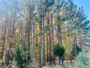 31 Waterside Point sold home in Abbeville, SC