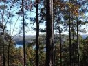 333 Long Cove Trail sold home in Salem, SC