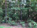 231 Bay View, Lot 8 Drive sold home in Salem, SC