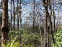 S56 Stone Terrace Way sold home in Salem, SC
