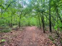 1U The Bear Boulevard sold home in Tamassee, SC