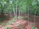 00 Raven Court sold home in Cleveland, SC