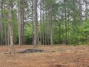 Lot 64 Harbor Point sold home in Seneca, SC