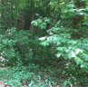 Lot 32 Den Ridge Drive sold home in Walhalla, SC