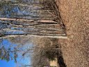 506 Chickasaw Drive sold home in Westminster, SC