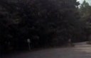 Lot 23 Cub Cove Drive sold home in Walhalla, SC