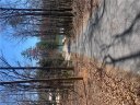 00 Bauknight Road sold home in Mountain Rest, SC
