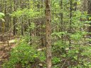 117 Pleasant Valley Drive sold home in Anderson, SC