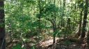237 Bay View Drive sold home in Salem, SC