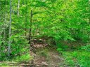 Tract Q The Bear Boulevard sold home in Tamassee, SC