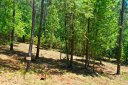 Lot 145 Peninsula Pointe North sold home in West Union, SC