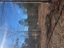116 Bluebell Way sold home in Sunset, SC
