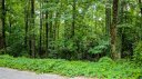 00 Westminster Drive Lot 35 sold home in Pendleton, SC