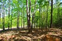 Lot 91 Harbor Point sold home in Seneca, SC
