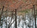 Lot 840-841 Player Lane sold home in Westminster, SC