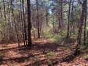 632 Pine Harbor Way sold home in Salem, SC