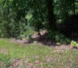 Lot 9 Hatteras Ridge sold home in Six Mile, SC