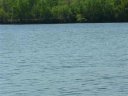 Lt 31 Lakewind Court sold home in Iva, SC