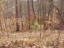 Lot 108 Cedar Creek sold home in Sunset, SC