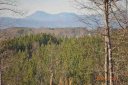 515 Lariat Loop Lot 24 Blue Mountain Esta sold home in Seneca, SC