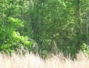 Lot 1-A Clearview Drive Lake Secession sold home in Abbeville, SC