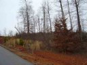 40 Lots Willow Creek Subdivision sold home in Westminster, SC