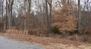 909 Moorehead Drive sold home in Anderson, SC