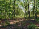 43 & 45 Fisher Jenkins Road Off Highway 187N sold home in Anderson, SC
