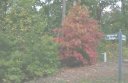 308 Hatteras Ridge Lot 10 Hatteras Ridge sold home in Six Mile, SC