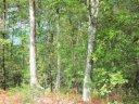 00 Granite Springs Drive sold home in Pickens, SC