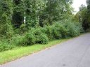 317 Wild Cherry Lane sold home in Clemson, SC