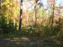 14-19 Wilbanks Road sold home in Seneca, SC