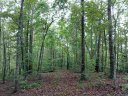 322 Scharlin Drive sold home in Pickens, SC