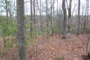 000 W Cove Road sold home in Mountain Rest, SC