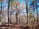 211 Serenity Drive sold home in Pickens, SC