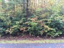 905 Bay Ridge Drive sold home in Salem, SC