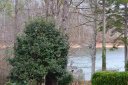 0 Cherokee Lane Lavonia sold home in Lavonia, SC