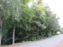 111 Canterbury Road sold home in Pendleton, SC