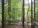 Lot 82 Wren Road sold home in Mountain Rest, SC