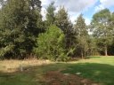 102 Crepe Myrtle sold home in Anderson, SC