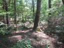 130 Hambys Way sold home in Pickens, SC