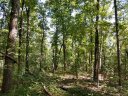 608 Scharlin Drive sold home in Pickens, SC