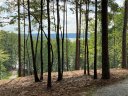 0 Sue Craig Road Lot 7 sold home in Six Mile, SC