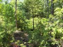 353 Woodmere Drive sold home in Pickens, SC