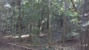 000 Lots 10 & 11 Lake Becky Interior No Lake Access Road sold home in Mountain Rest, SC