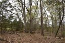 1021/1023 N Shore Drive sold home in Anderson, SC