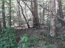 121 Willys Creek Circle sold home in Pickens, SC